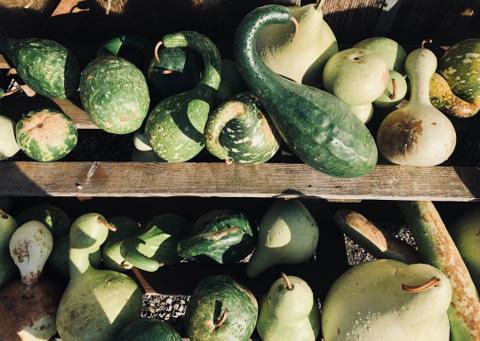 Verduras